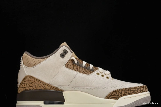 Retro Jordan  3  CT8532-102 Palomino CT8532-102 0925